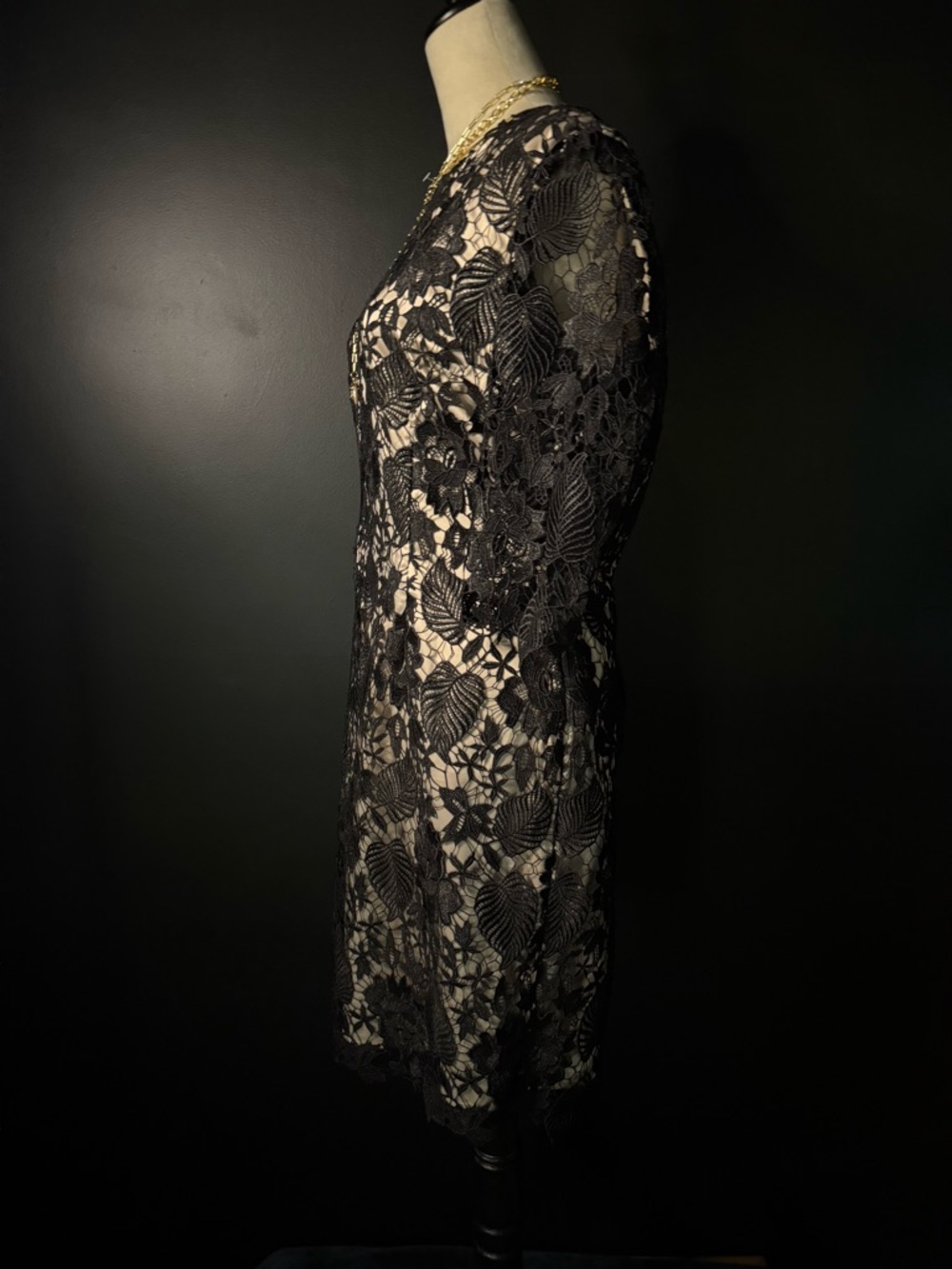 Elegant Black Lace Sheath Dress with Nude Lining - Picture 4 of 7